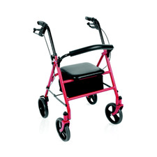 Mopedia Walker Folding