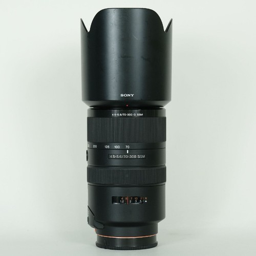 Sony 300 5 - f4.5-5.6, ssm