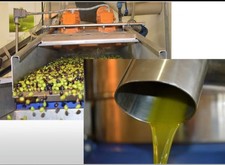 olio extravergine di oliva