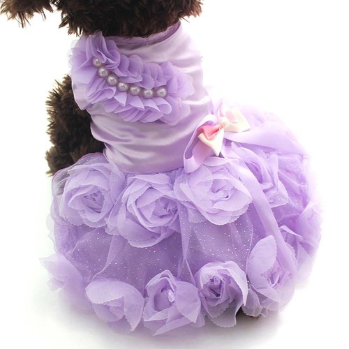 Abbigliamento abito sposa - abbigliamento,
