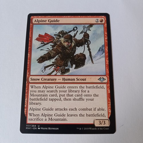 Mtg guida alpina - mtg,