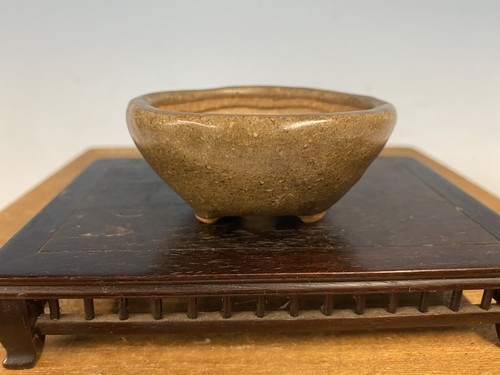 Vaso per bonsai - , mano