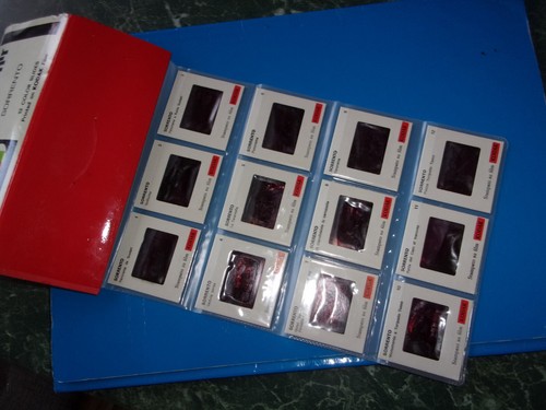 Diapositive colori souvenir - diapositive,