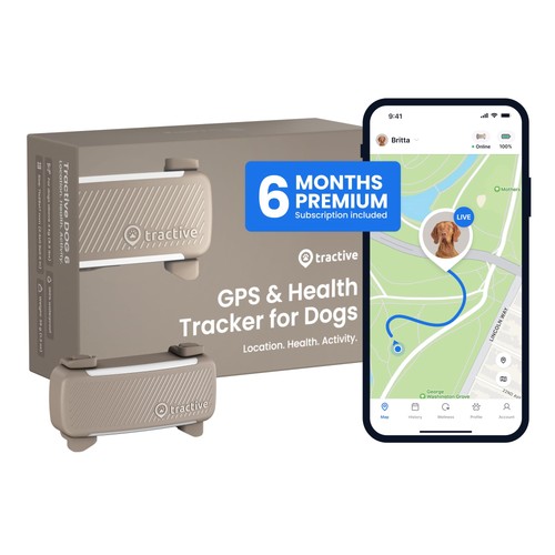 Smart dog gps - dog, tracker