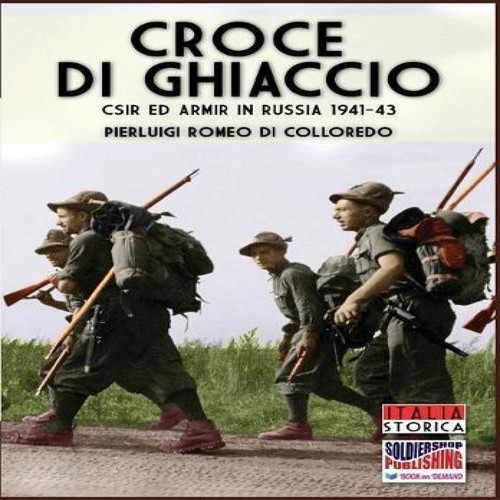 Croce ghiaccio csir ed - di,