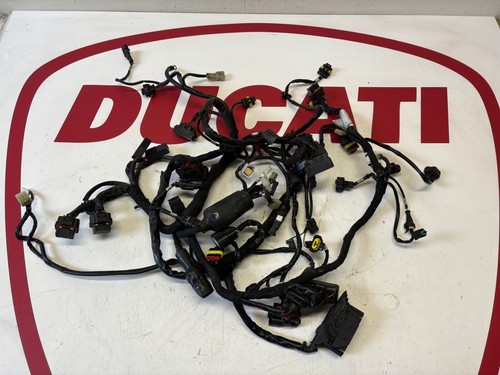 Ducati main wiring - , harness