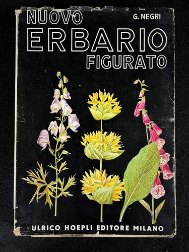 Giovanni negri erbario - giovanni,