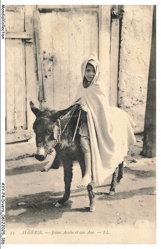 Ayyp4 0387 algeria - algeria,