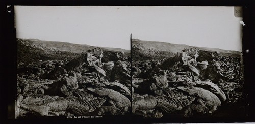 Stereoview traghetti scarpe - traghetti, e