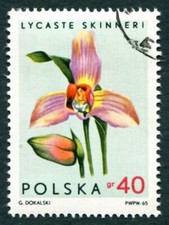 POLONIA 1965 40g SG1592 usato