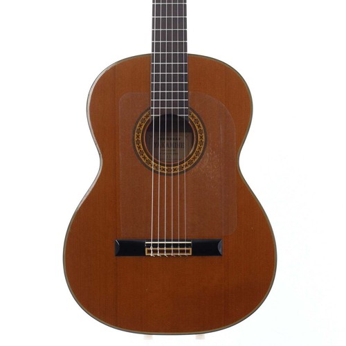 Takamine chitarra - n.30,
