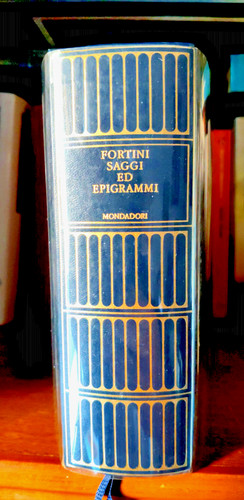Franco fortini saggi - fortini,
