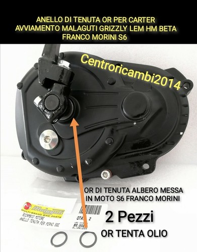 Anello tenuta carter - di,