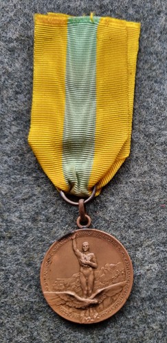 Medaglia regno italia guerra - medaglia,