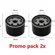 2X Filtro Olio Briggs &