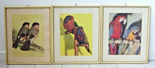 Tre quadri con - tre, stampe