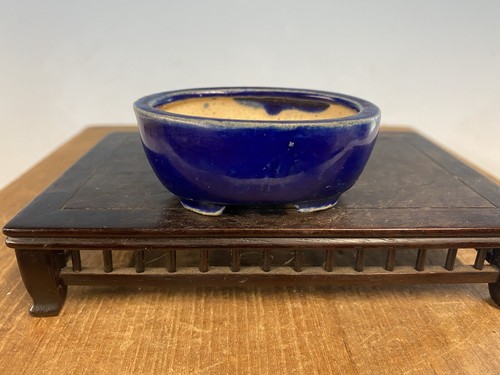 Vaso per bonsai dimensioni
