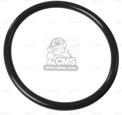 Ring pompa carburante - ring,
