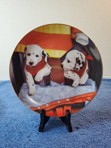 Danbury come nuovo pups - come, ~