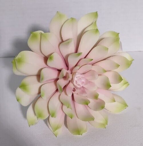 Pick echeveria soft touch - , 6"
