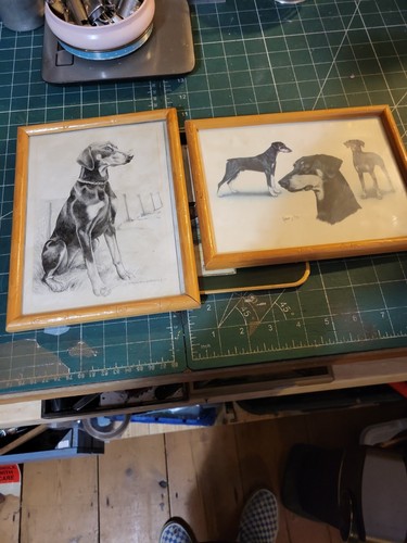 Quadri doberman - quadri,