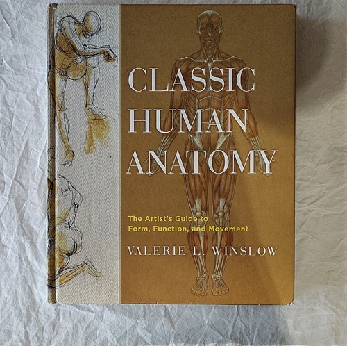 Classic human anatomy the - anatomy,
