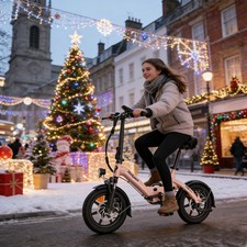 Restituito 14'' Bici Elettrica