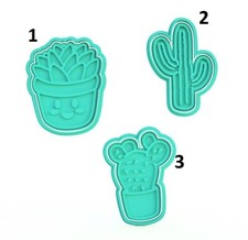 Cactus Piante Grasse Set 3