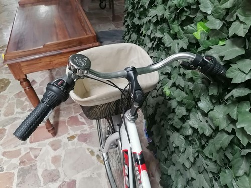 Bicicletta passeggio uomo - da,