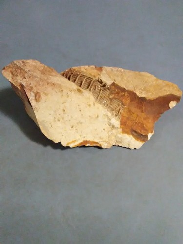 Pietra autentica indiana
