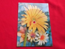 OLIVER ONIONS sandokan RARE 1970s POLISH postcard record FLEXI