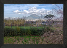 Quadro Stampa su Tela