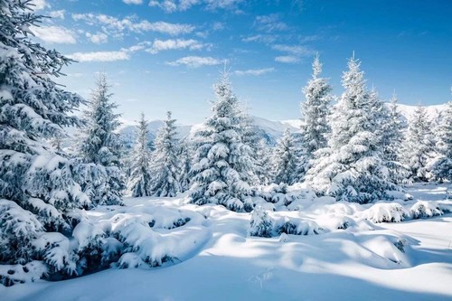 Campo di neve - x,