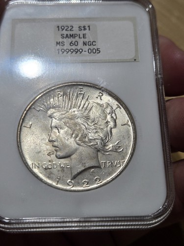1922 dollaro della pace 60 - 1922,