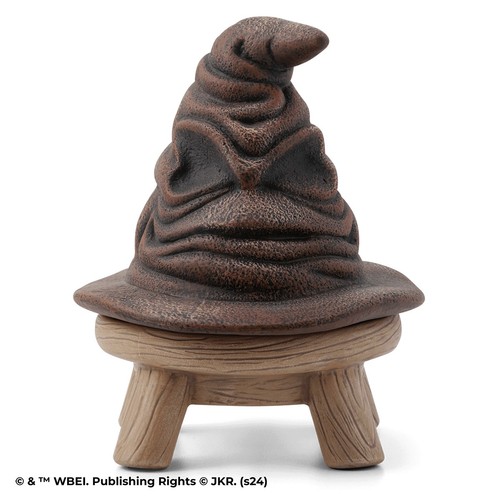 Harry potter cappello - potter,