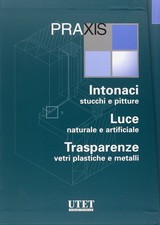 Intonaci stucchi e pitture