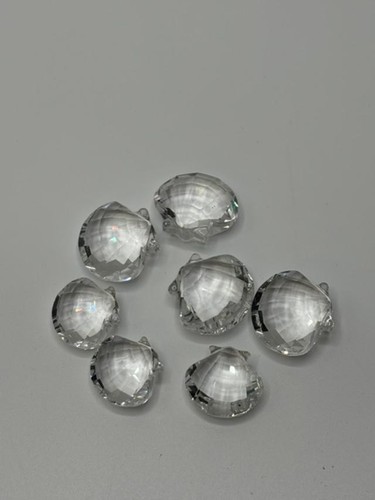 Mini vongola conchiglia - , di