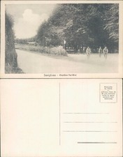 SAVIGLIANO BELLA ANIMAZIONE