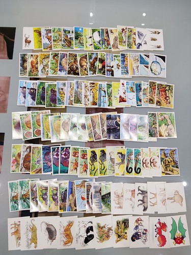 Lotto 109 figurine panini - 109,