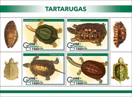 Francobolli tartarughe mnh - tartarughe,