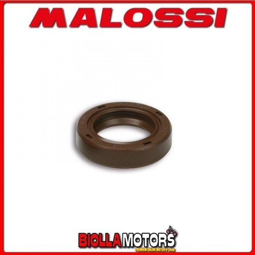 669599b paraolio malossi - paraolio,