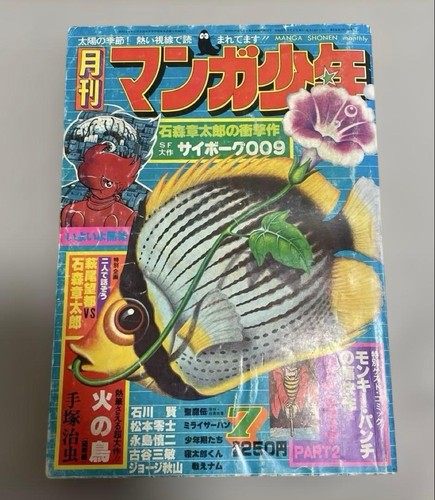 Vintage japanese magazine - japanese,