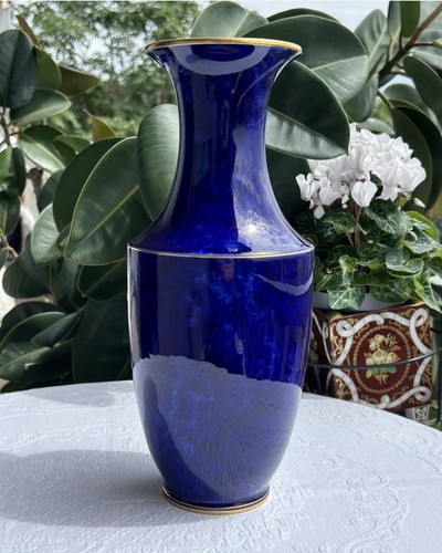 Vase porcelaine sèvres - vase,
