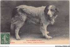 AILP6-0562 - CANE - Viscos -