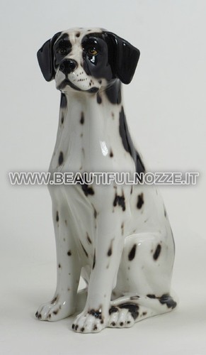 Cane dalmata pointer medio - cane,
