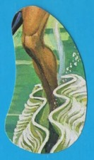 FIGURINA PANINI BIG JIM ALBUM