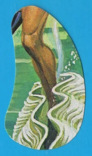 Figurina panini big jim album - panini,