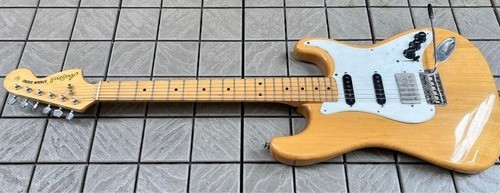 Chitarra elettrica aria pro - pro, ii