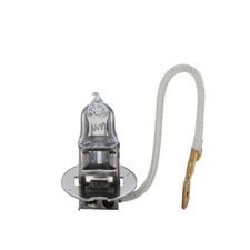 Lampadina Faro Di Profondità Bosch 1987302431 Trucklight Ws per Daf Ford Iveco