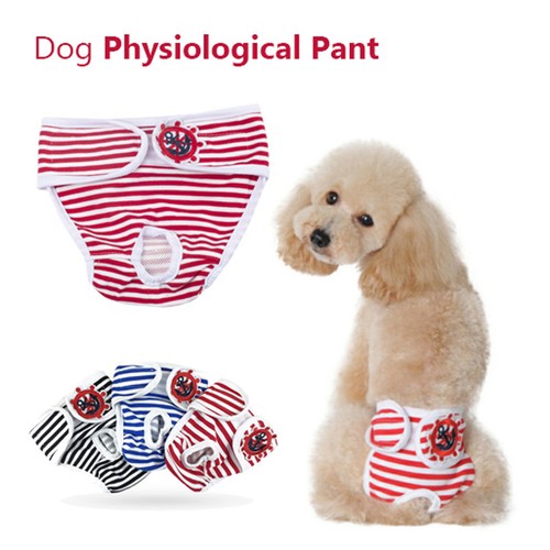 Pantalone cane maschio - , femmina